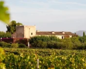 Ses Talaioles Viner Mallorca