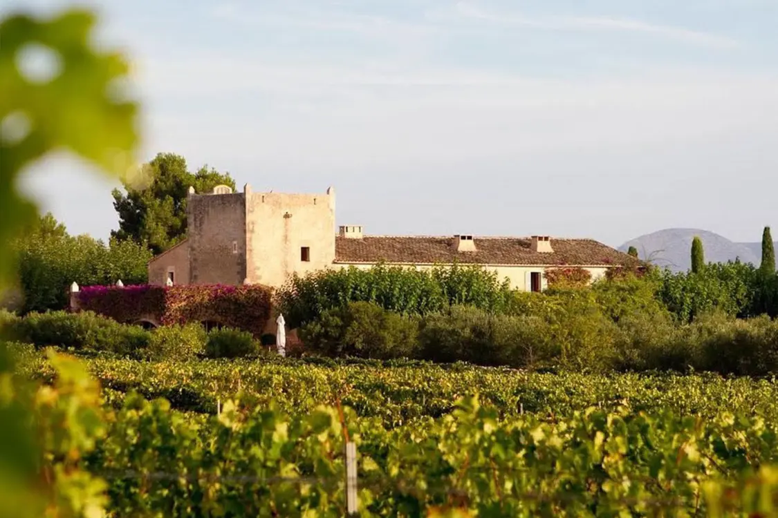 Ses Talaioles Viner Mallorca