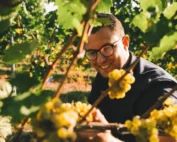 Weingut Tobias Rickes der kosmopolit