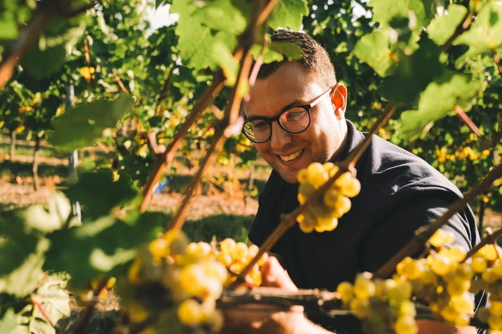 Weingut Tobias Rickes der kosmopolit