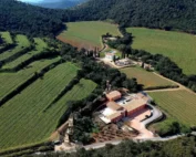Chateau de Chausse viner